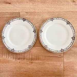 2 PCs Theodore Haviland Limoges Dinnerware Appetizer‎ Plates 7 1/2" Pink Roses